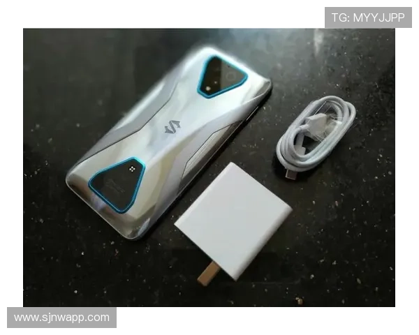 帝濠国际PG官网入口安全登录攻略，确保玩家顺利进入游戏享受极致娱乐体验