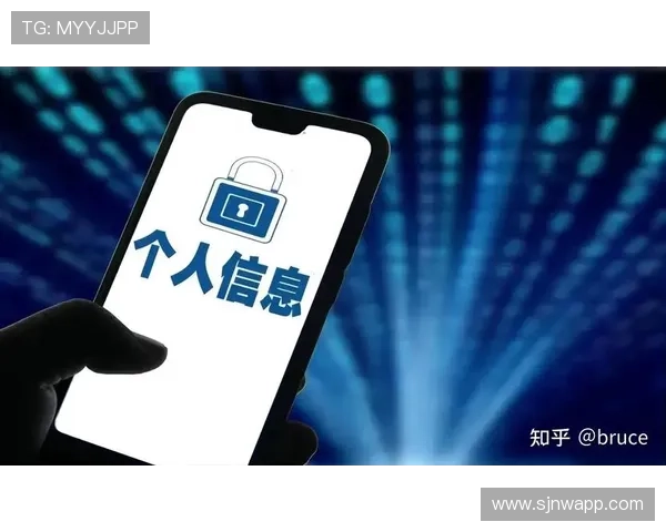 PG国际旗舰网站的安全措施与隐私保护策略详解保障玩家权益